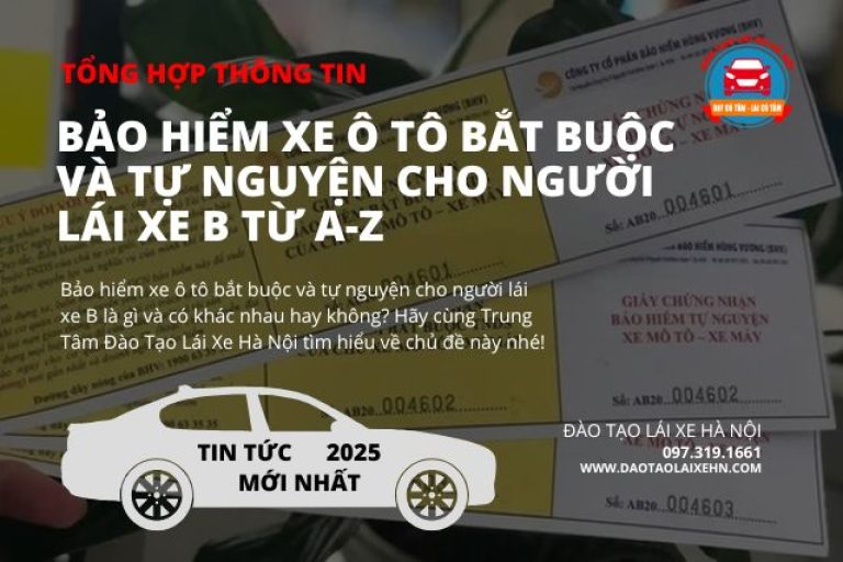 Bảo Hiểm Xe Ô Tô Bắt Buộc Và Tự Nguyện Cho Người Lái Xe B Từ A-Z