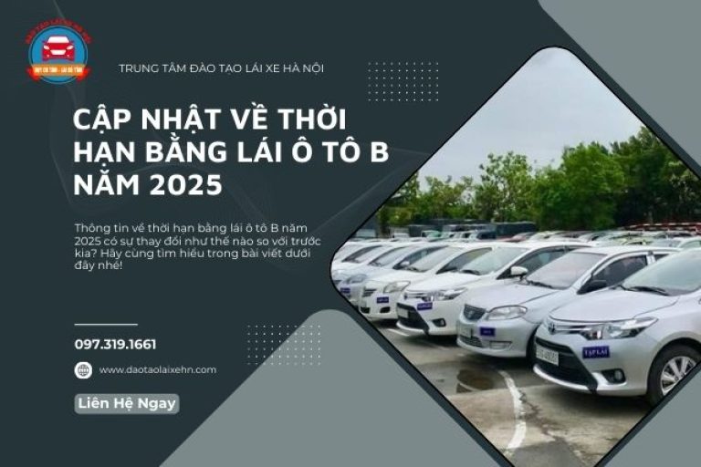 Cập Nhật Về Thời Hạn Bằng Lái Ô Tô B Năm 2025