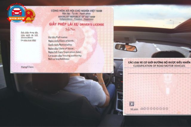 Mẫu GPLX có thể sẽ áp dụng vào từ năm 2026