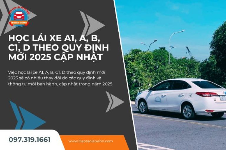 Học Lái Xe A1, A, B, C1, D Theo Quy Định Mới 2025 Cập Nhật