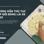 Hướng Dẫn Thủ Tục Cấp Đổi Bằng Lái Xe 2025