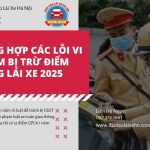 Tổng Hợp Các Lỗi Vi Phạm Bị Trừ Điểm Bằng Lái Xe 2025